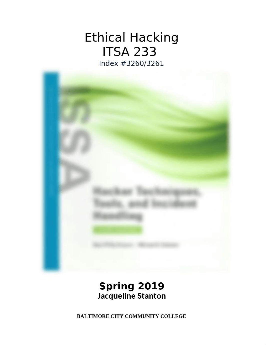 JStanton ITSA 233 Syllabus Fall 2019 (1).doc_dsdfxipqr57_page1