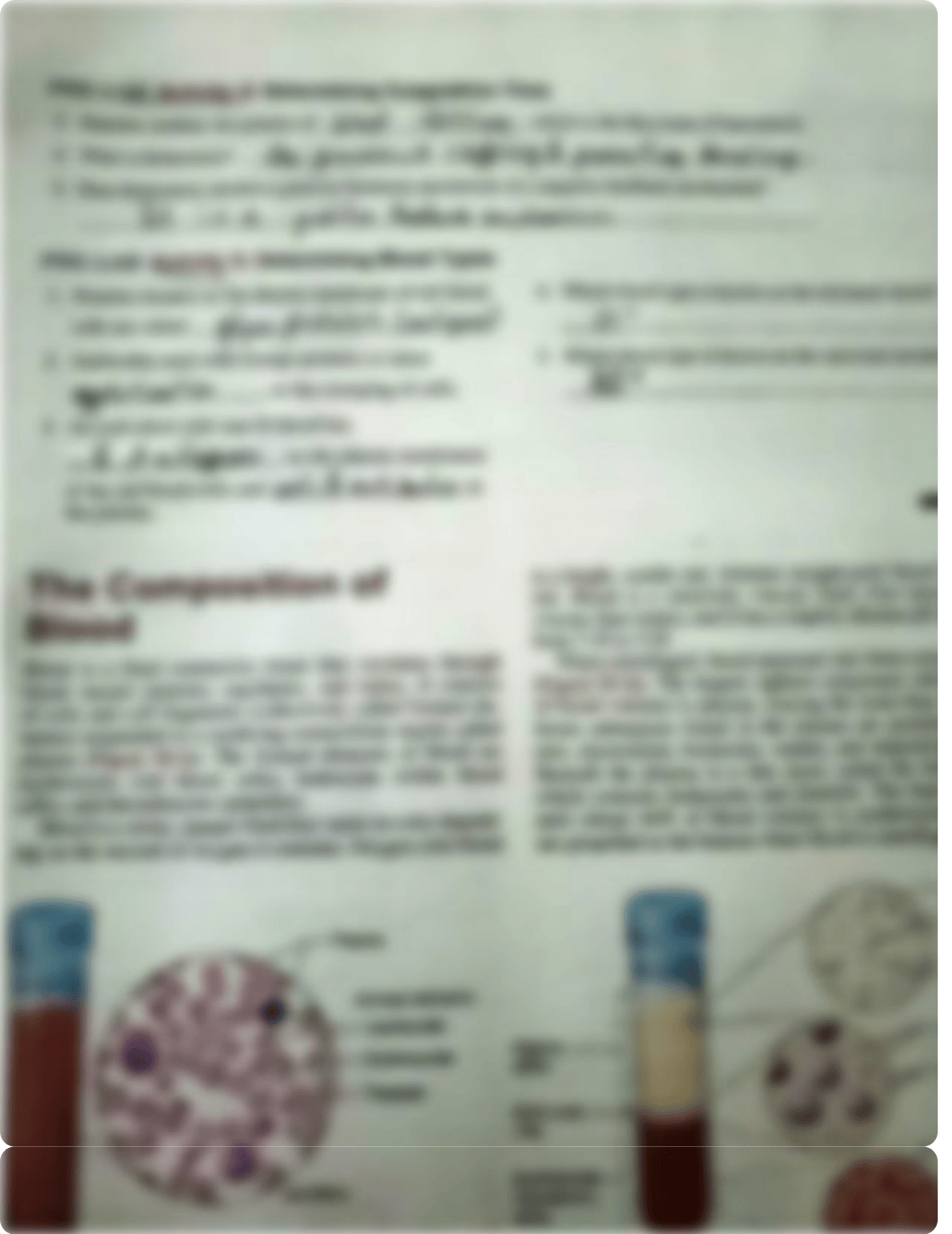 Pre-Lab Unit 19.pdf_dsdh6eu1kim_page2