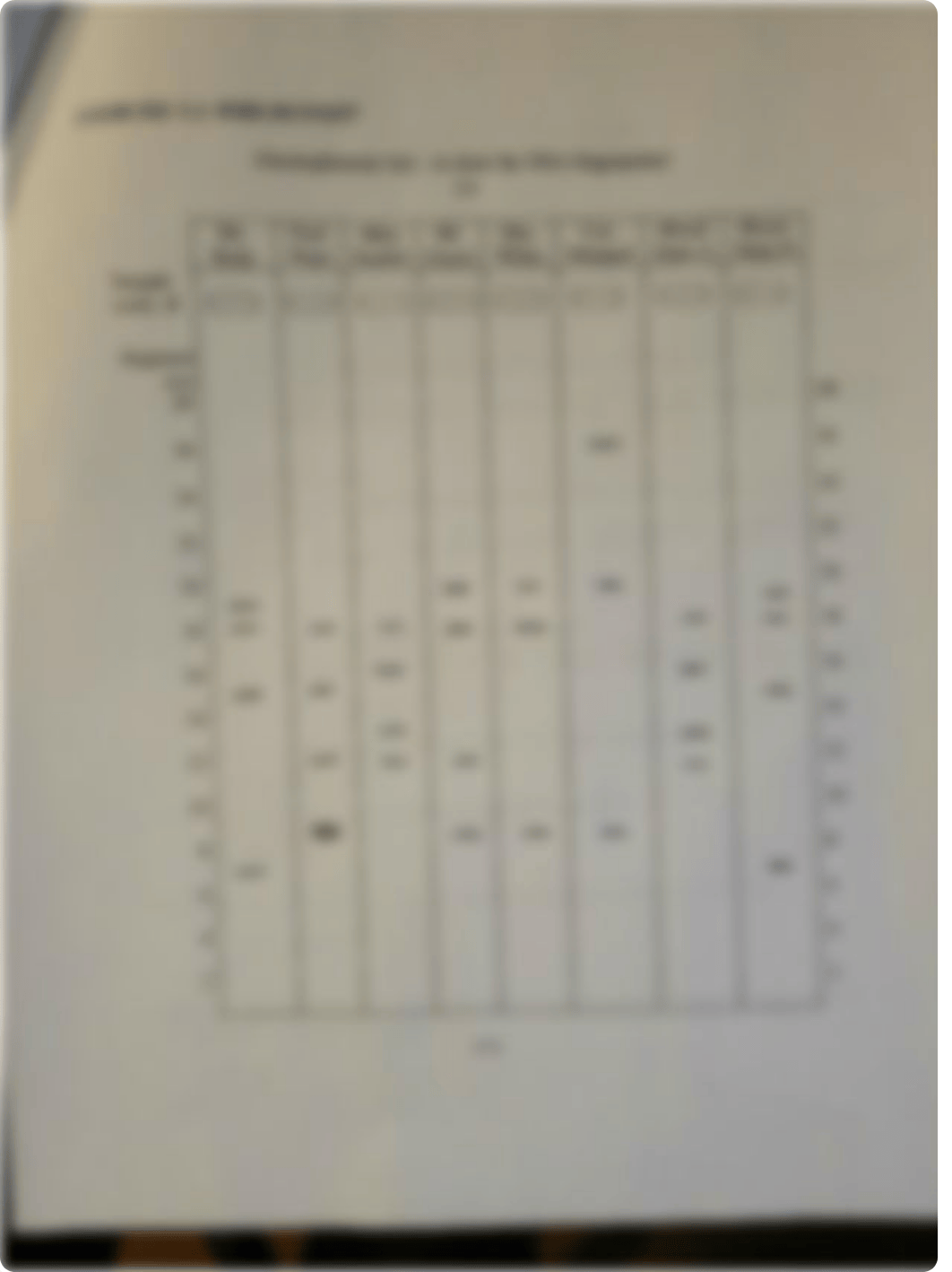 Lab 5 Summary Sheet 2.pdf_dsdj9n1dibs_page3