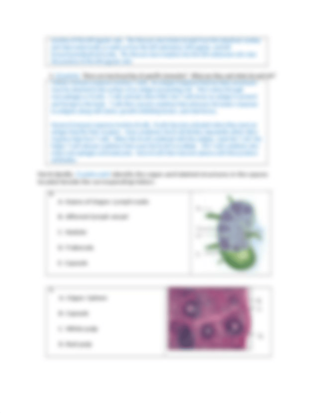 Ch 16_Lymphatic & Immunity Lab Results Submission_D Robertson.docx_dse79qcq1jb_page2