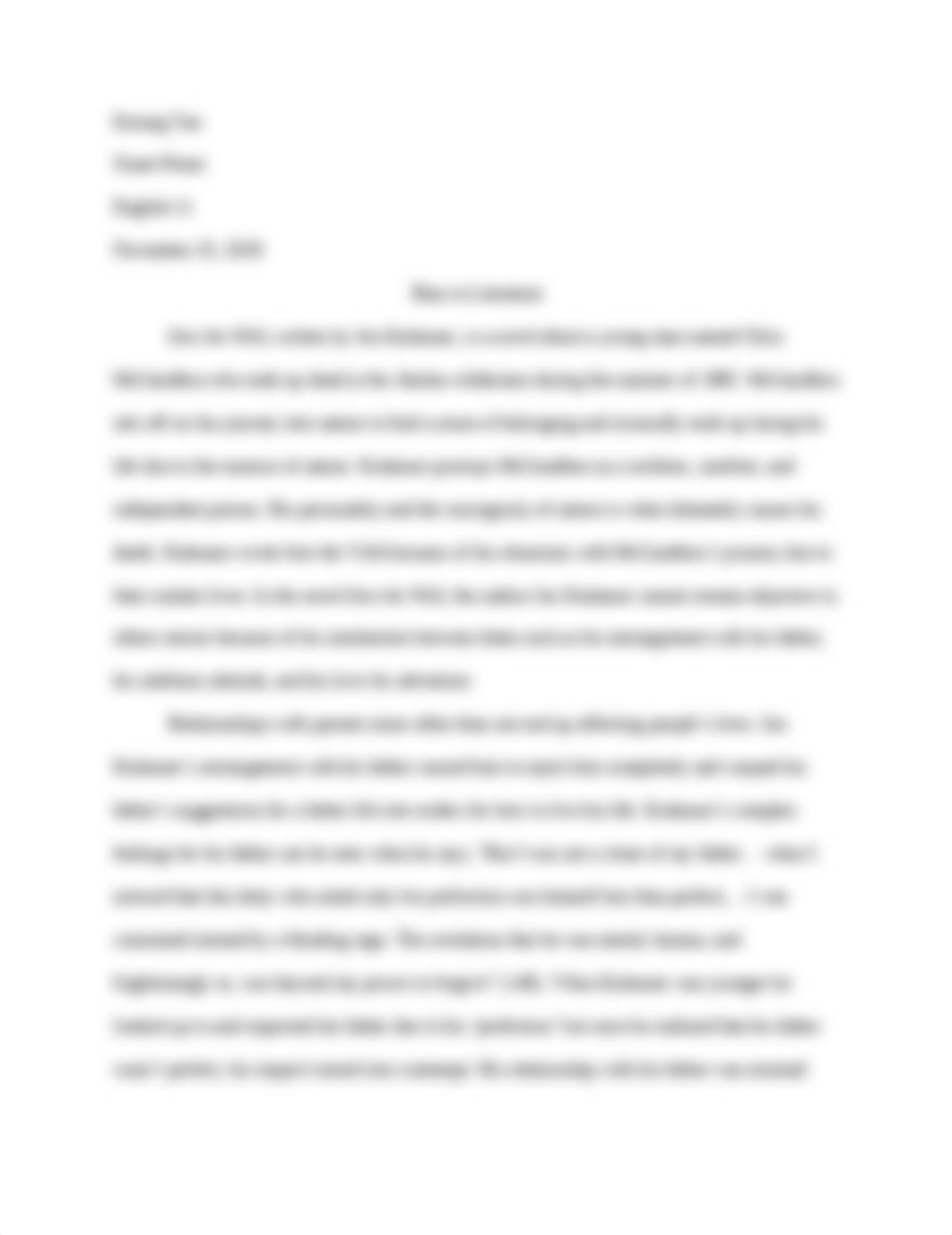 Into_the_Wild_essay_dse7id0a1qd_page1