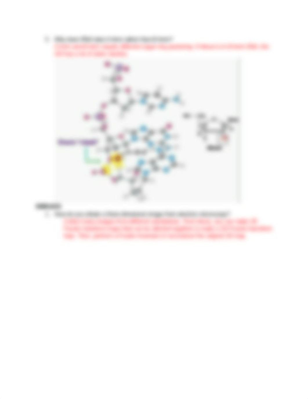 Exam4discussionquestion_answers_dse8ajvgvhz_page3