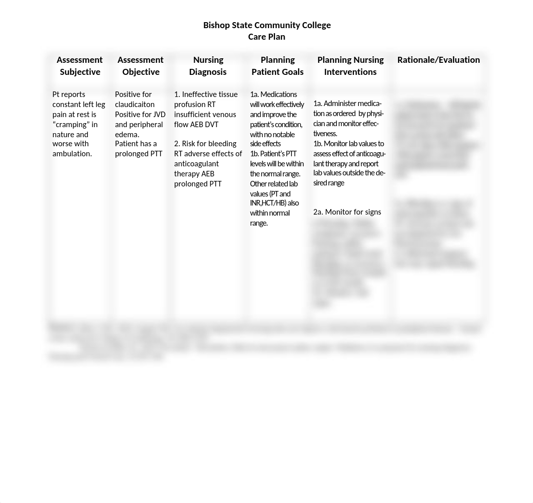 DVT care plan2_dsecc67dnuo_page1