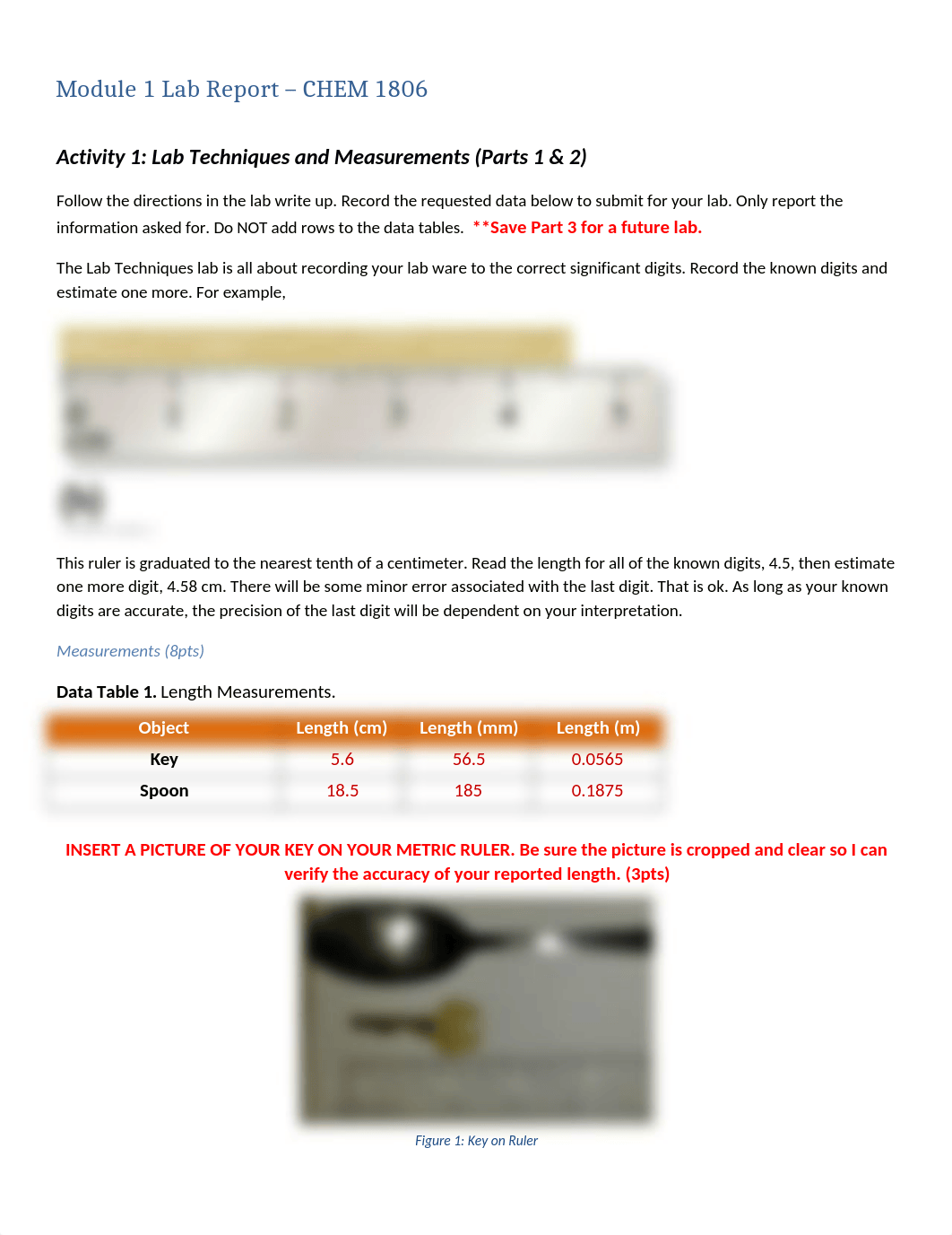 LAB_1_CHEM_1806.docx_dselu2fh094_page1