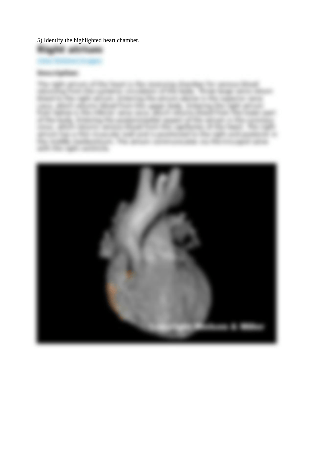 REAL_ANATOMY_LAB_02_heart_pulmonary_and_coronary_circulations.docx_dseu9j65un2_page5