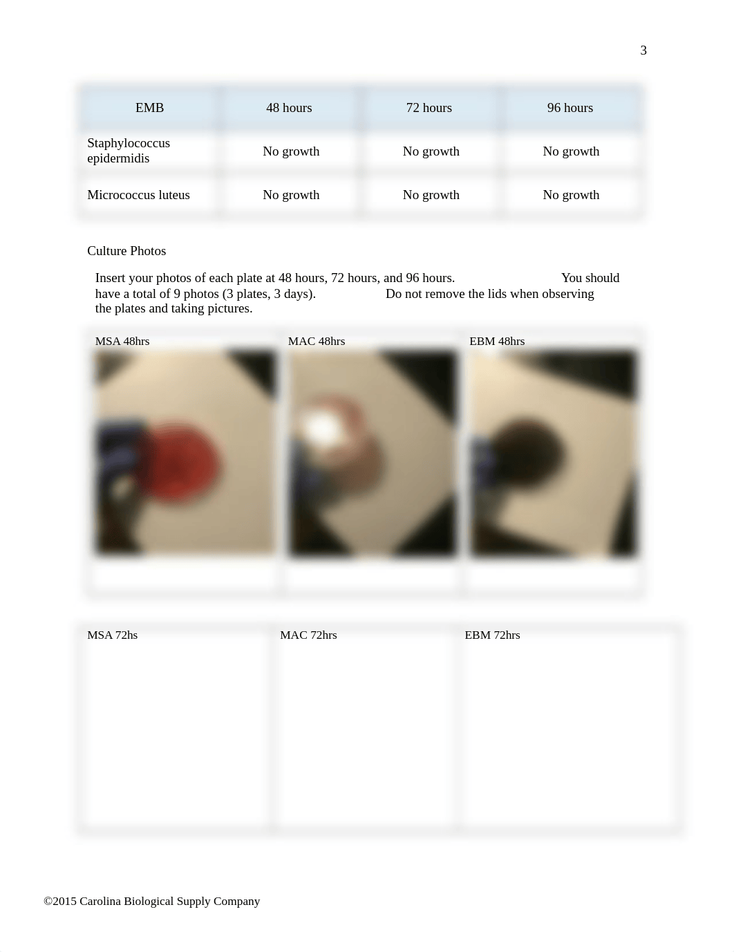 Use of Selective and Differential Media answer sheet.docx_dsf2chcya4l_page3