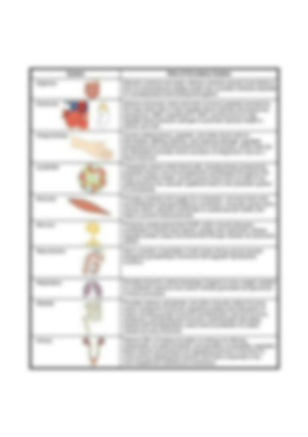 10 Major Functions of Circulatory System.jpg_dsf4qqbi4pj_page1