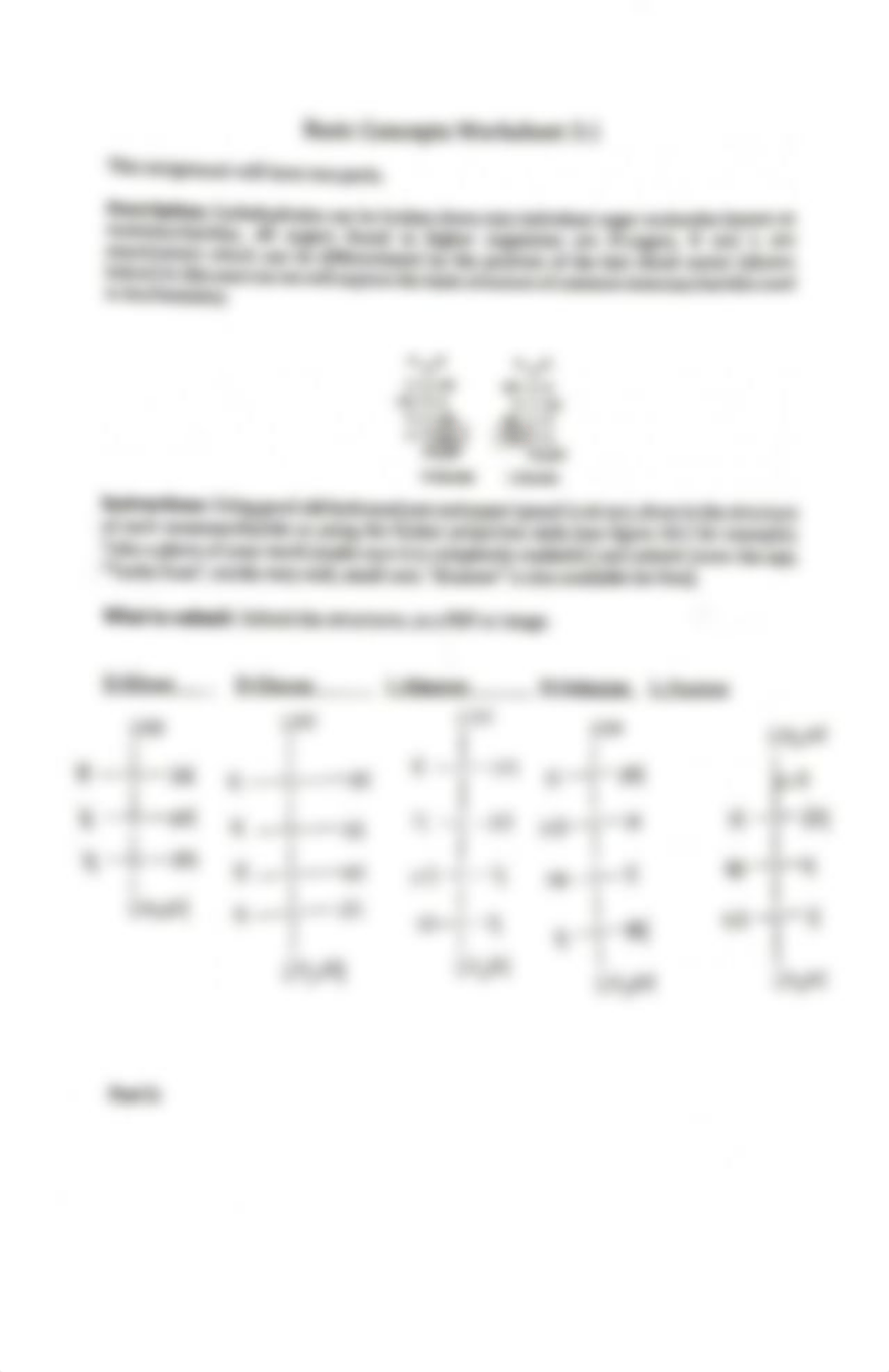 Basic Concepts Worksheet 3.1.pdf_dsf5jjm2x56_page1