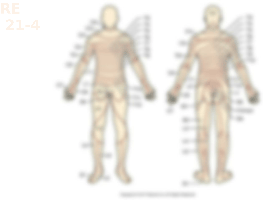 LPN 132 Chapter 21 Student.pptx_dsf6zdr54o0_page4