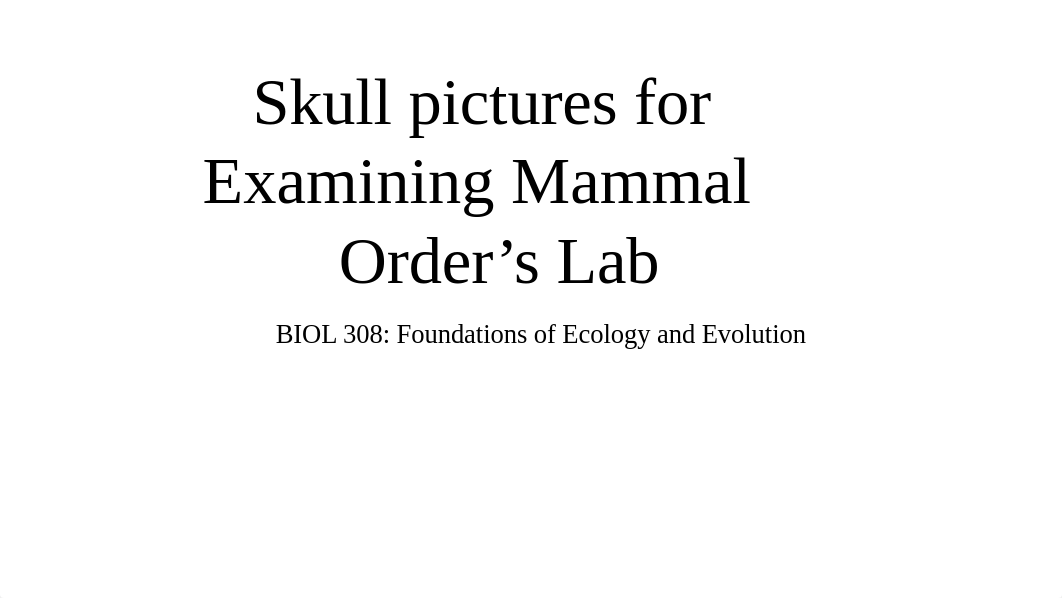 mammal_skulls_su2020.pptx_dsfi7m5avcx_page1