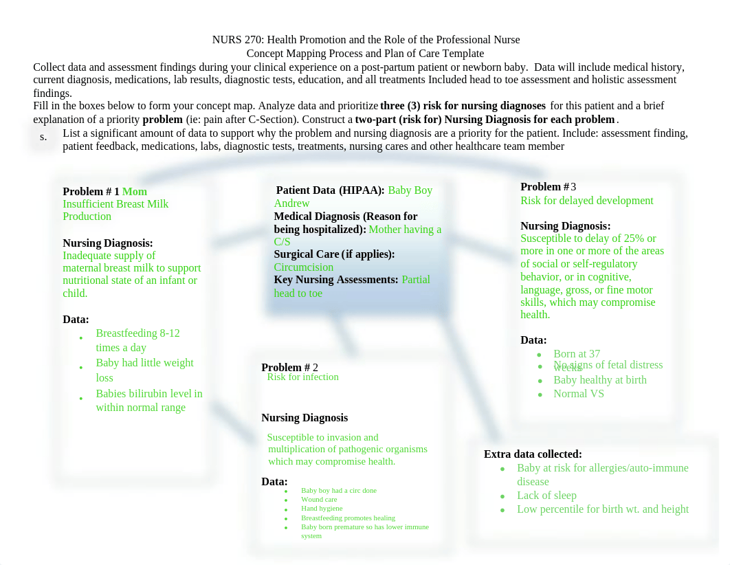 Abby Concept Mapping and Plan of Care feedback 3.pdf_dsfm95c6ubt_page1