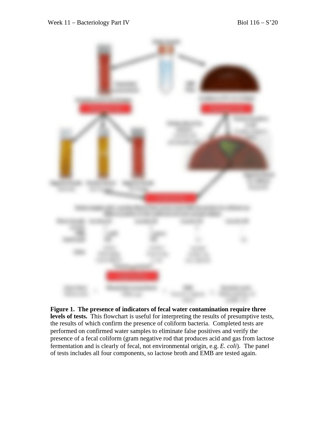 Final_Lab_InstructionsOutline_dsfu52vbr9h_page2