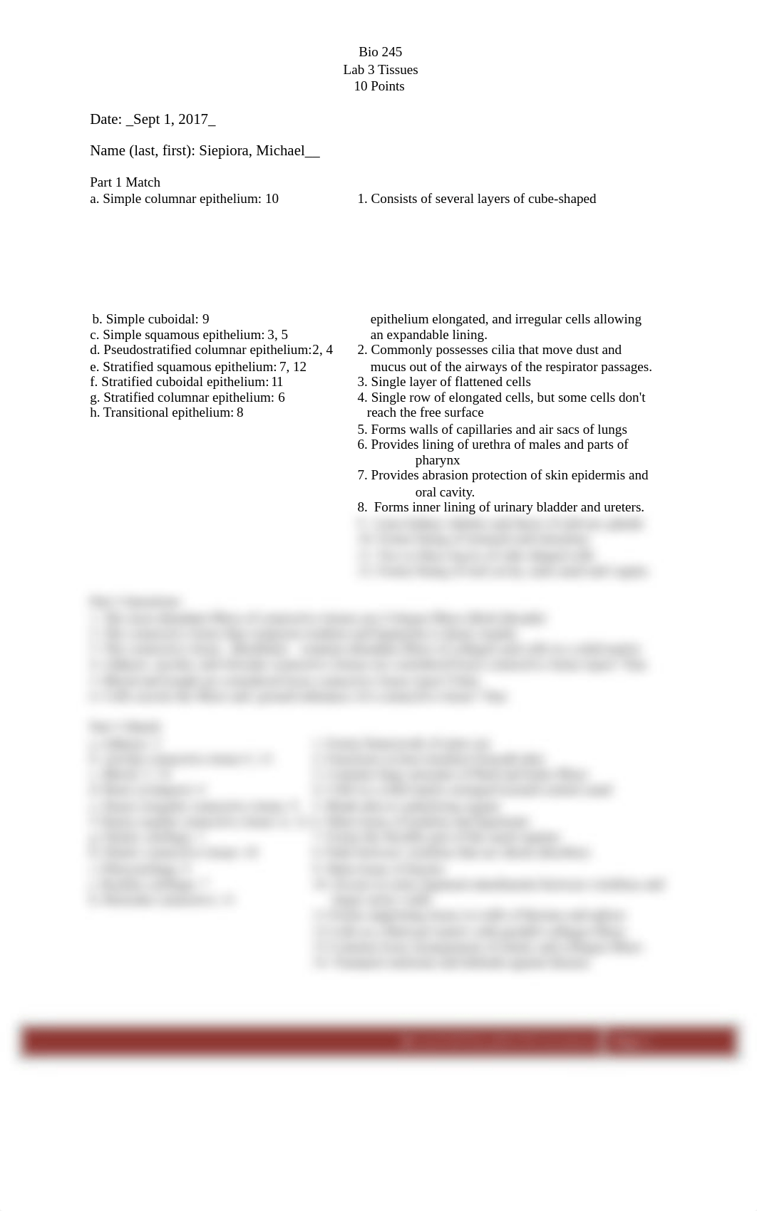 Lab 3 Tissue  Bio 245.doc_dsfxr2wmejg_page1