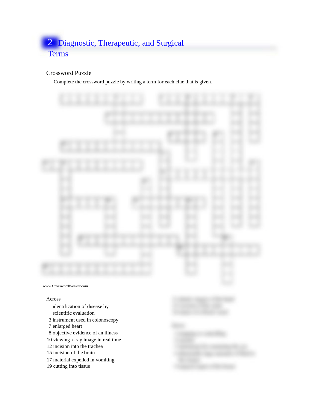 Chapter Two Extra Crossword Puzzle.pdf_dsg1b7i7yg4_page1