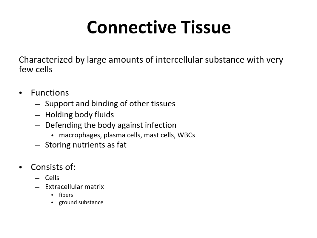 6.+Connective+Tissue_dsg9t598aol_page4