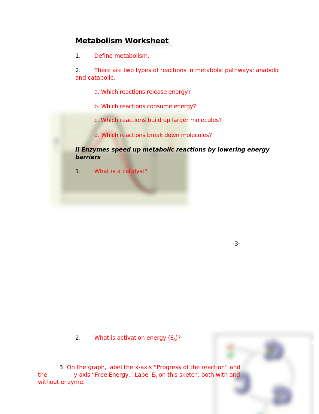 Metabolism Worksheet CHPT 5 OK.docx_dsgchxdxfck_page1