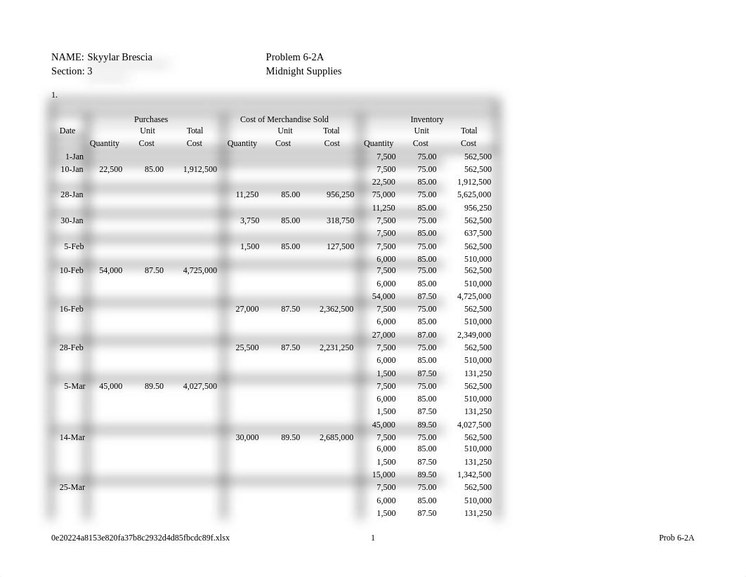 BSA 231 Chpt 6 Prob.xlsx_dsghx11vzx6_page1