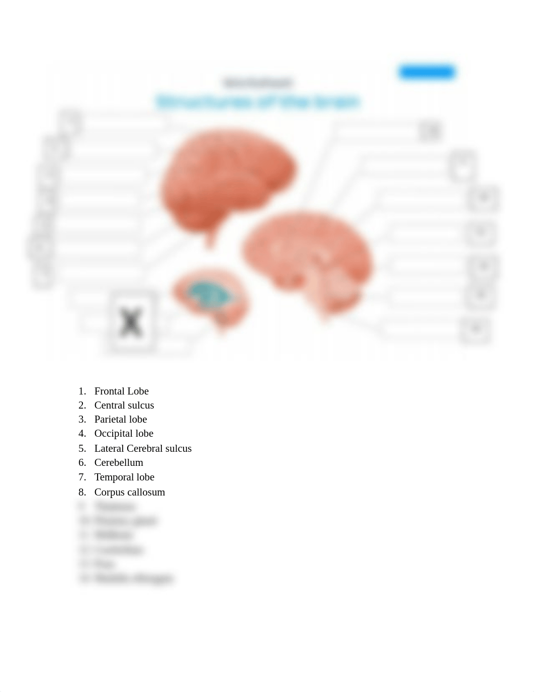 Brain Diagram.docx.pdf_dsgpczvboyg_page1