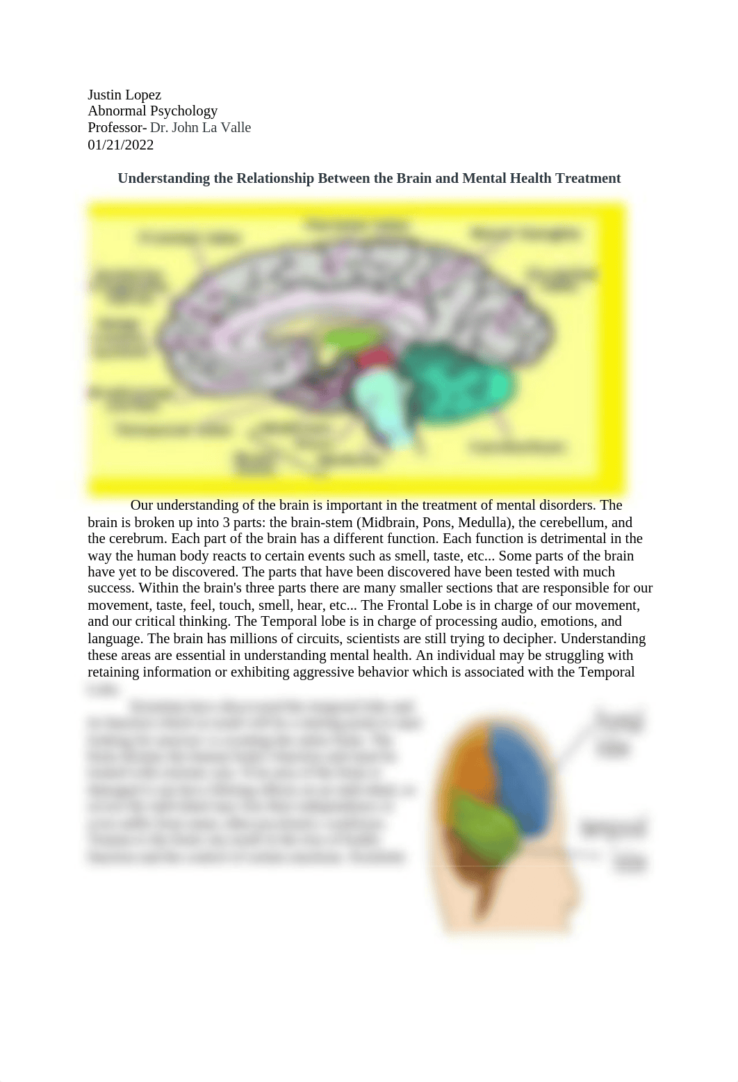 Understanding the Relationship Between the Brain and Mental Health Treatment DB.docx_dsgrabgqqca_page1