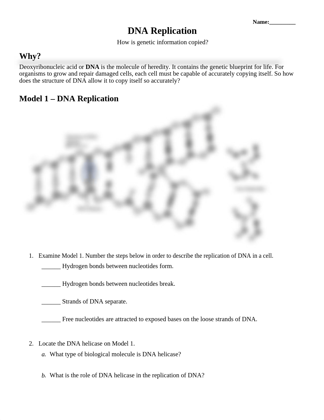 POGIL- DNA Replication ONLY.docx_dsgxn22boze_page1