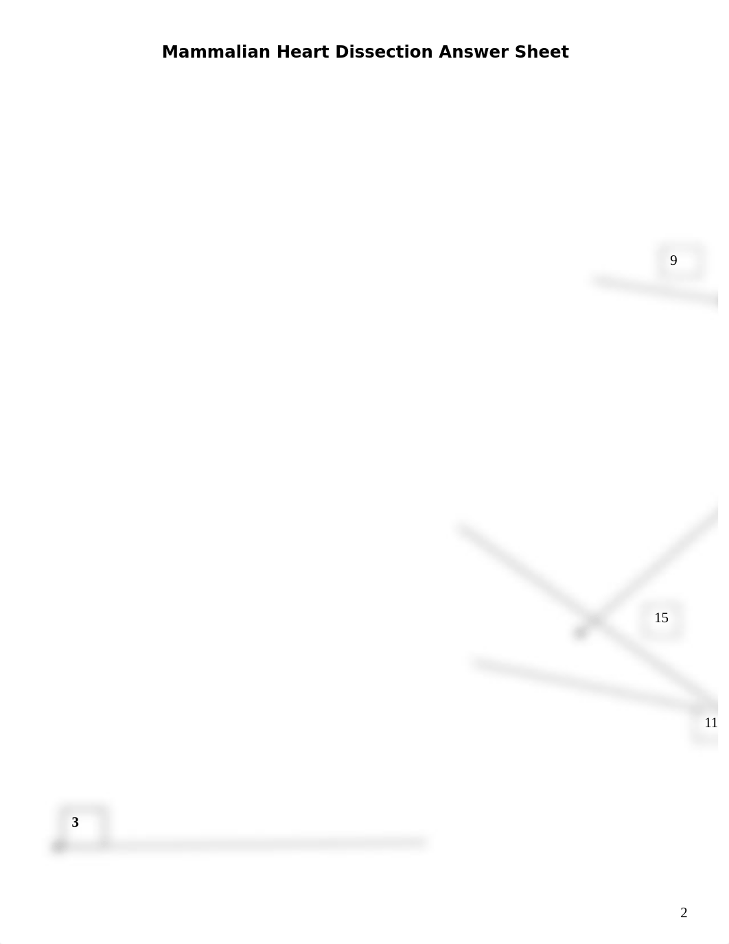 Mammalian Heart Dissection Answer Sheet.docx_dsgxy8nmlek_page2