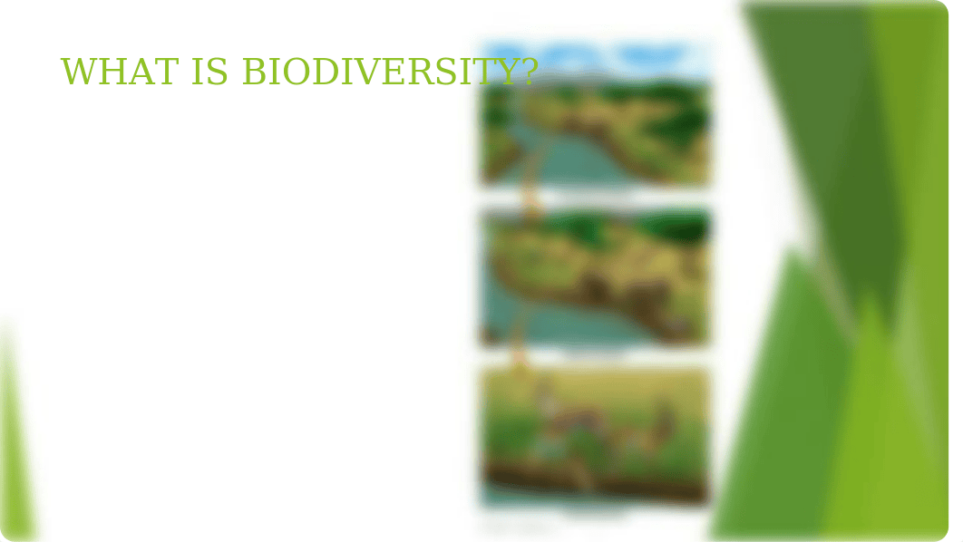 BIODIVERSITY AND CONSERVATION BIOLOGY.pptx_dsh2z1yqkkf_page2