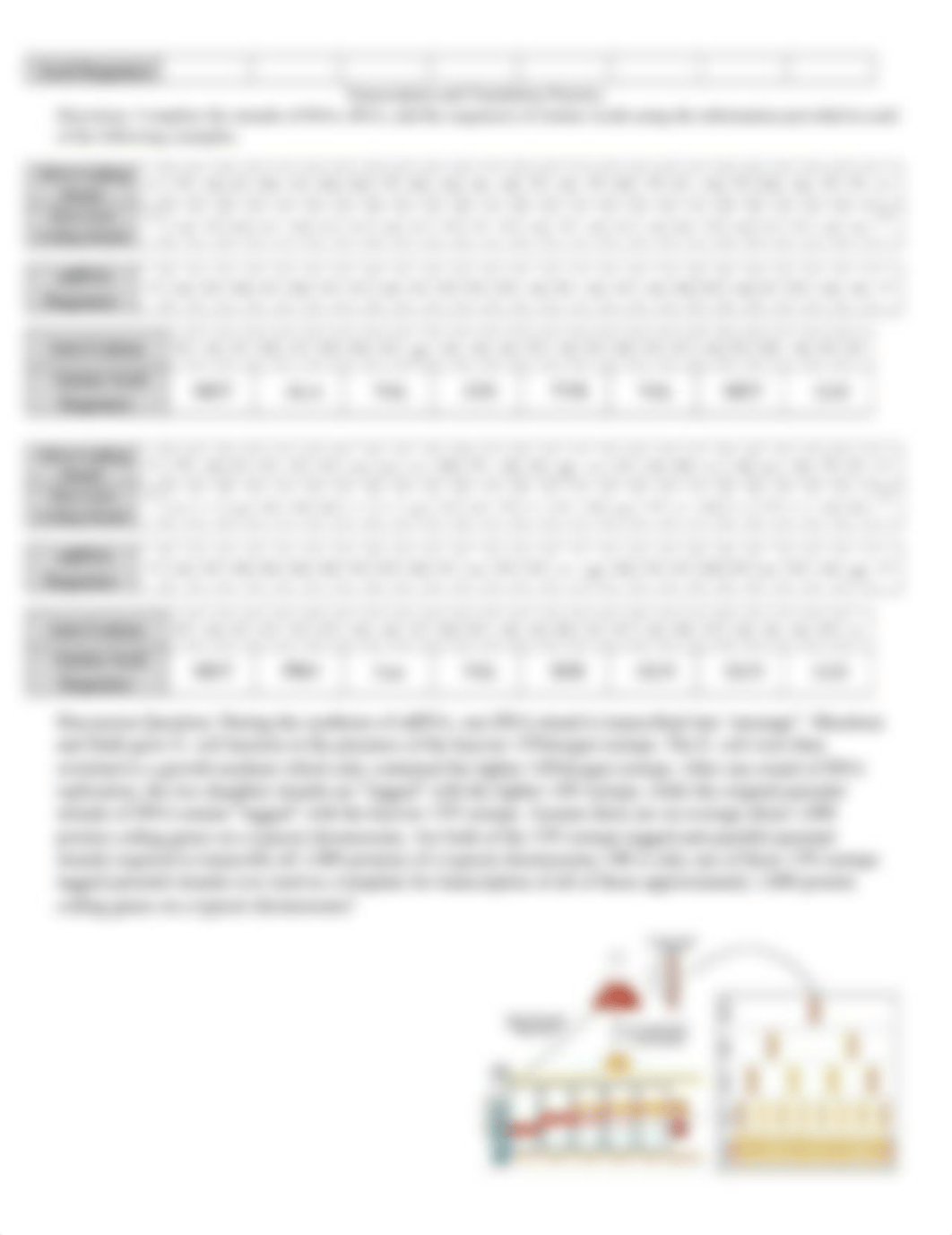 AP Central Dogma Worksheet - 1ver3 (1) (2).docx_dsh34wvr1sk_page2