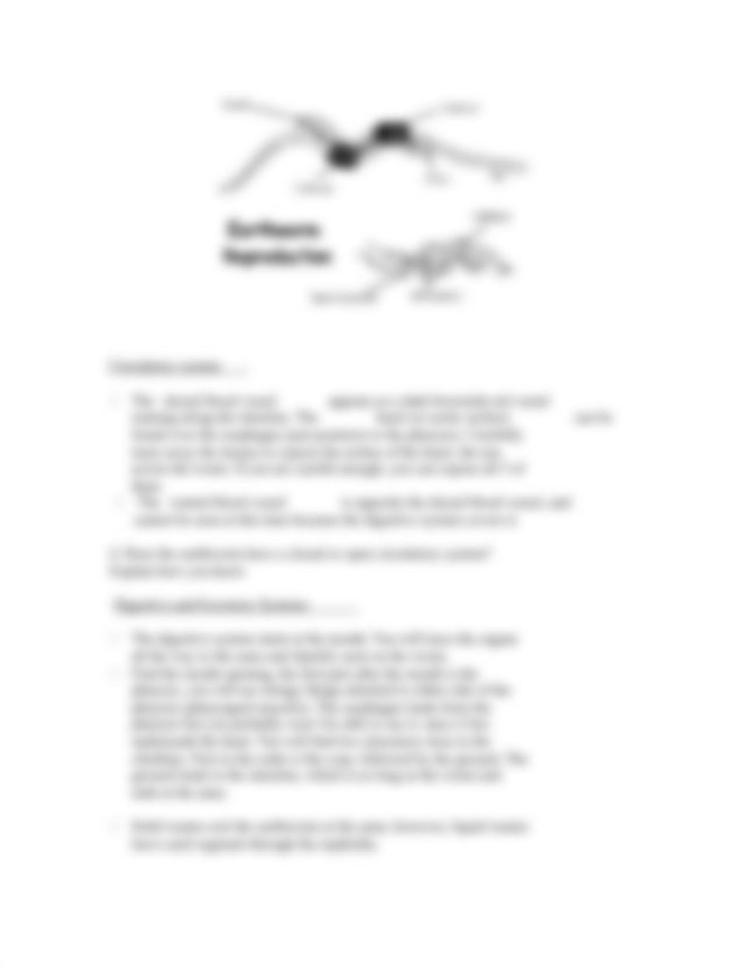 Earthworm Anatomy and Dissection.doc_dsh6midfq0i_page3