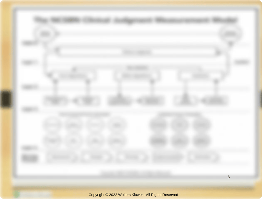 PowerPoint _ Chapter 01_ The Nurse's Role in Health Assessment (1).pptx_dshf0x0pru8_page3