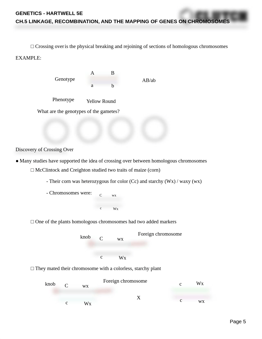 admin_genetics-18-genetics-from-genes-to-genomes-hartwell-233-ch-5-linkage-recombination-and-the-map_dshjbplj1wv_page5