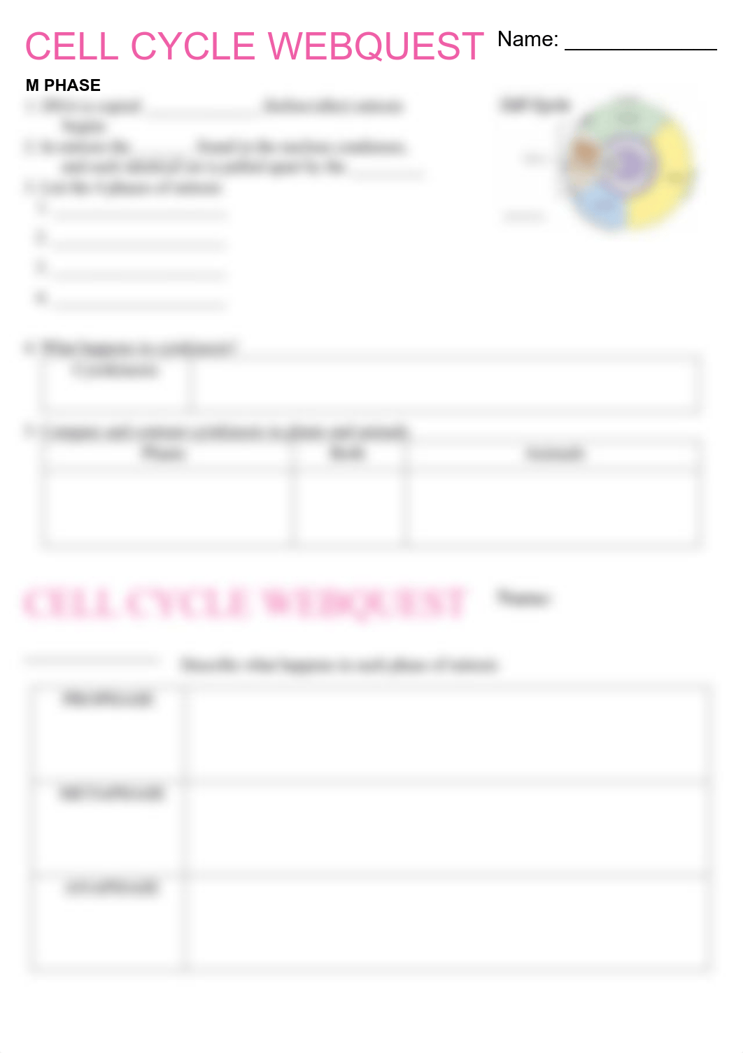 Cell_Cycle_Webquest_2.pdf_dshjqzhevtm_page2