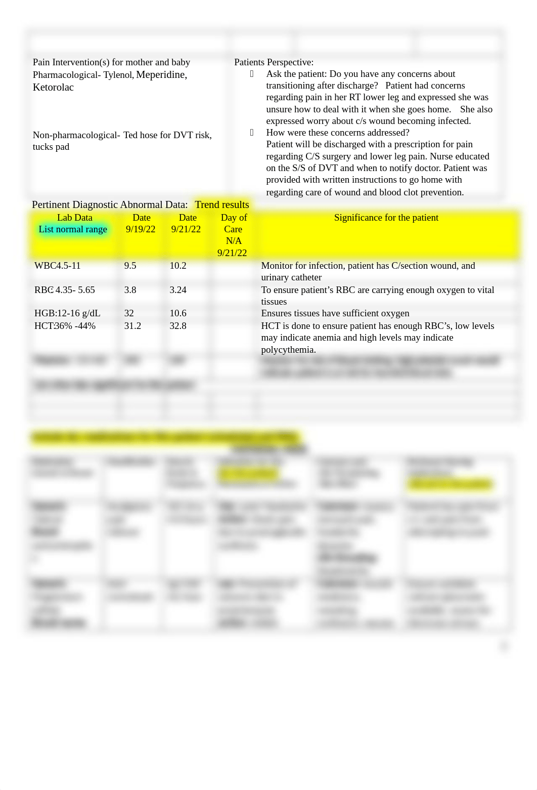 maternal care plan.doc_dshk8xijfbv_page2