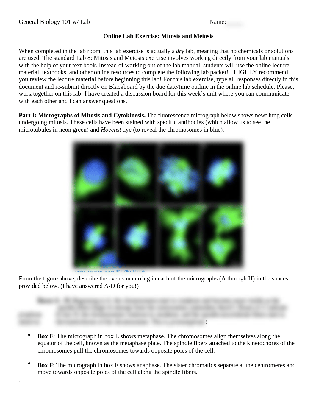 BI - week 9- lab.docx_dshl6xnuro6_page1