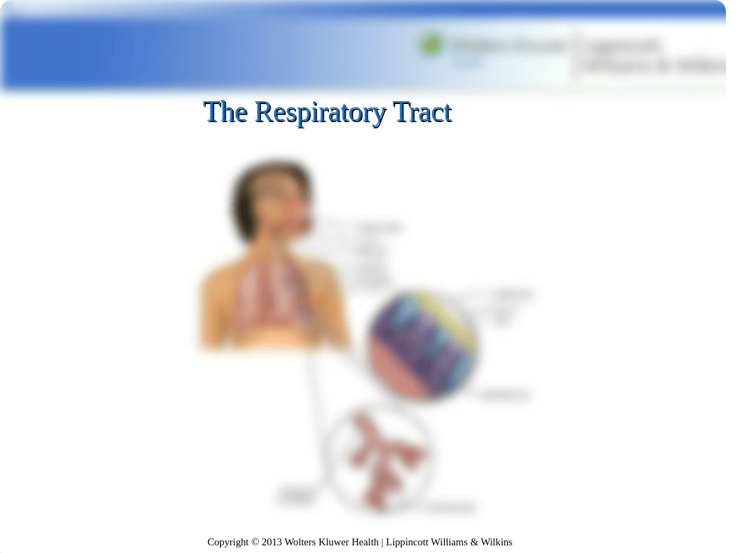 Karch Chapter 53.ppt_dshmwfy4bqy_page3