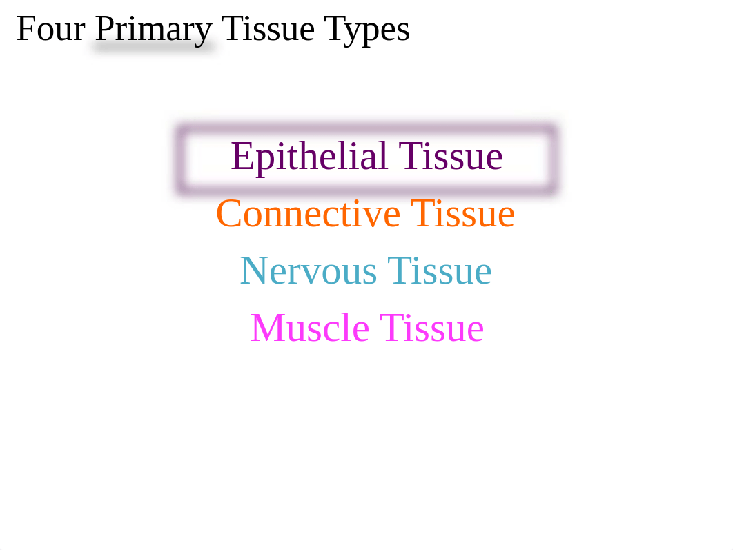 A&P I Lecture - Chapter 4 - Tissues - The Living Fabric - Presentation.pptx_dshsyhfjlk4_page4