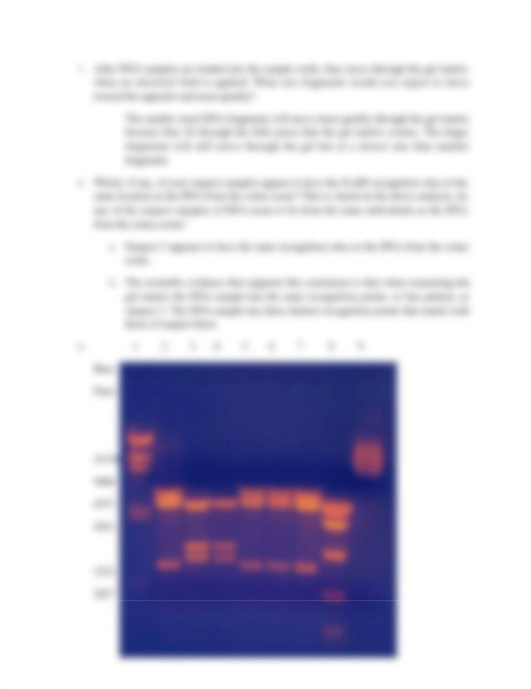 Forensics Lab_dshya8secbr_page2