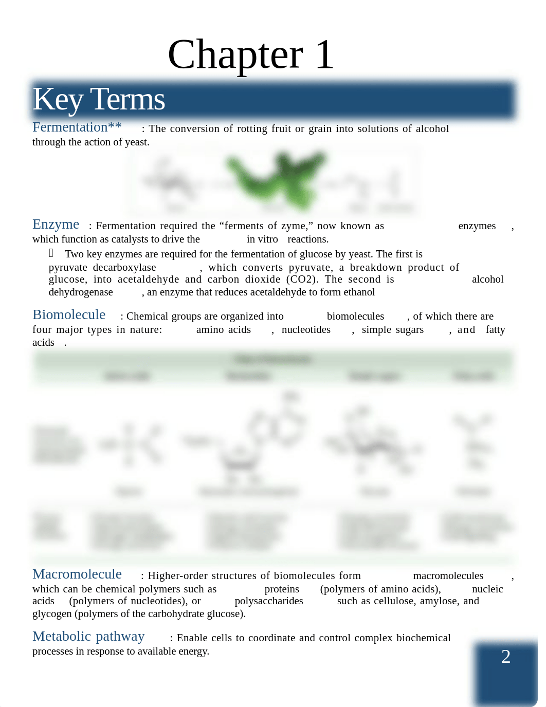 Exam I Study Guide_dsi3vfdityr_page2