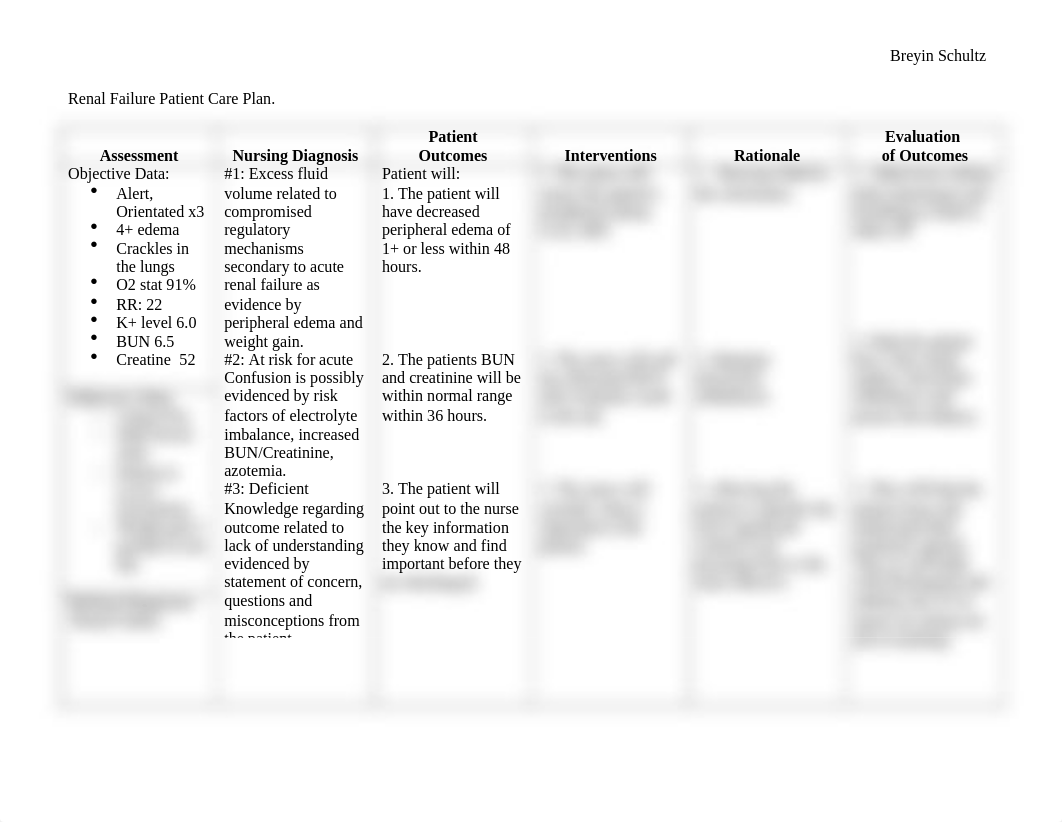 Nursing Care Plan .doc_dsi8iib6vub_page1