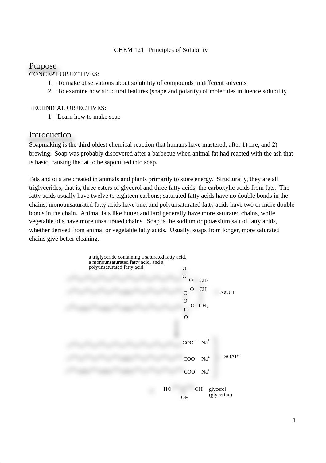 CHEM 121 Exp 8 Solubility-1.pdf_dsi9y2pb552_page1