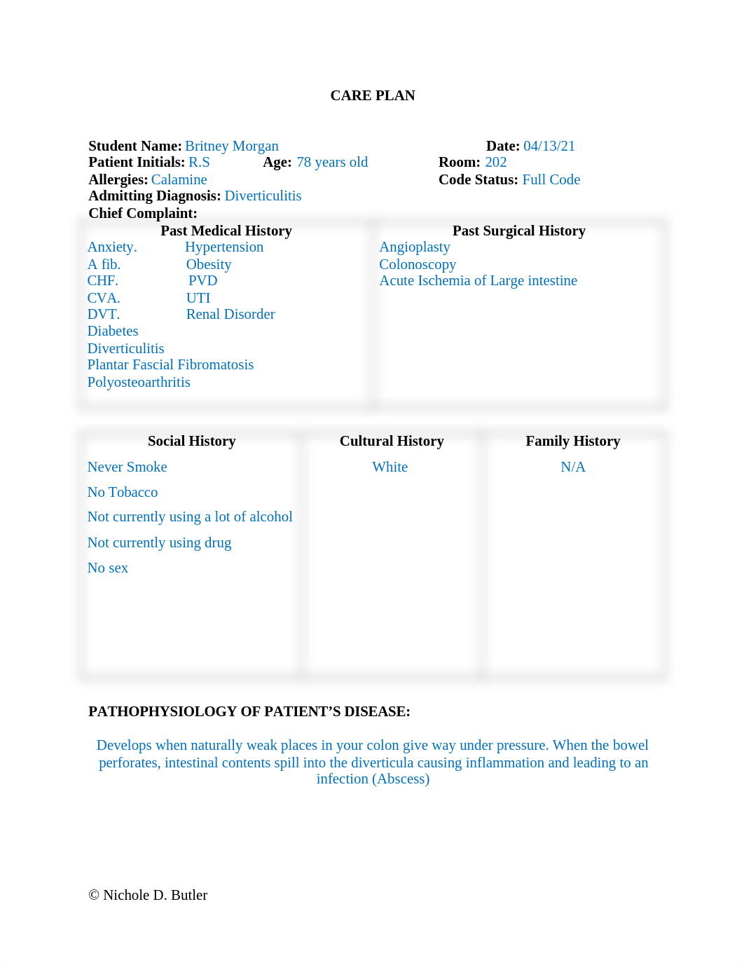 Diverticulitis Careplan.doc_dsid93bnux0_page1