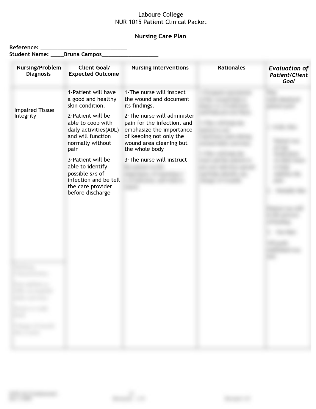 NURSE CARE PLAN.pdf_dsidnnsfbjm_page1