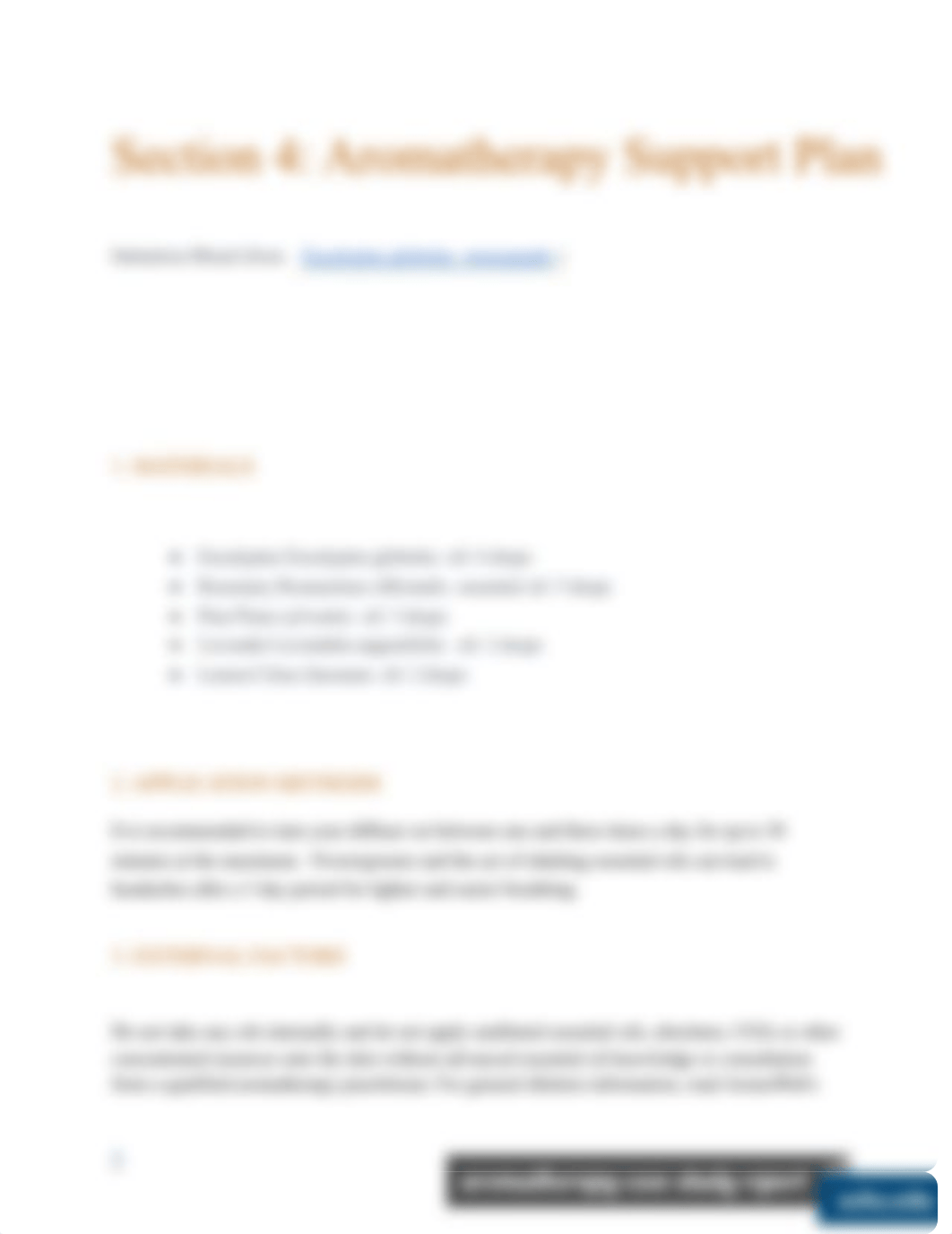 Copy of ACHS Case Study Template1 (1).pdf_dsieahra0i4_page3