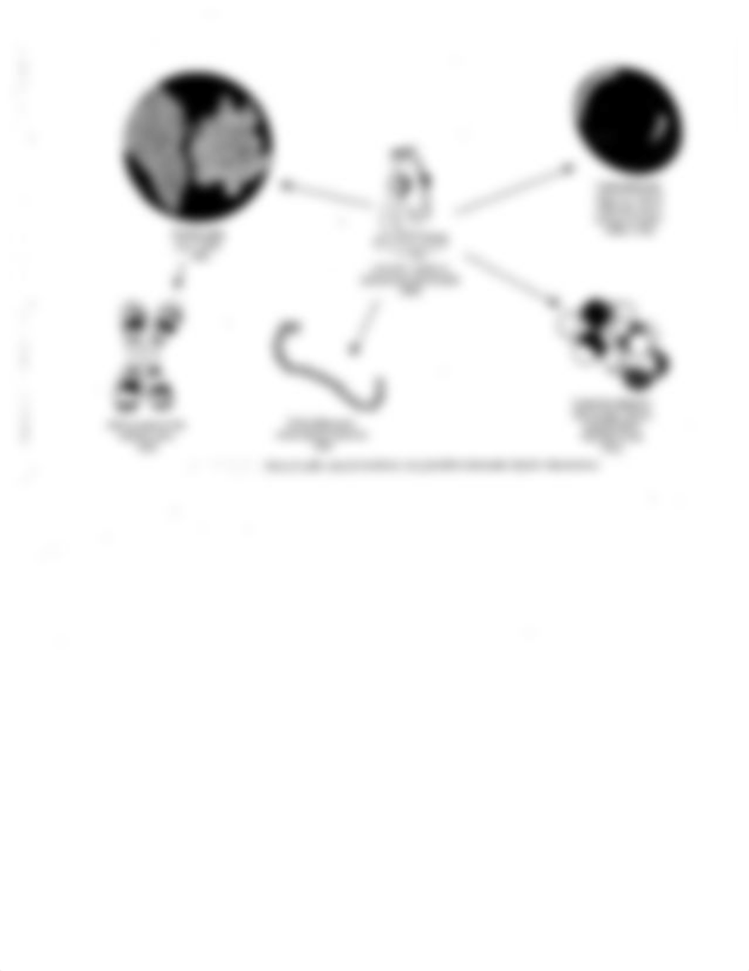 Chapter 1 Health Care Past, Present, Future (1).pdf_dsiep4i8d9r_page3