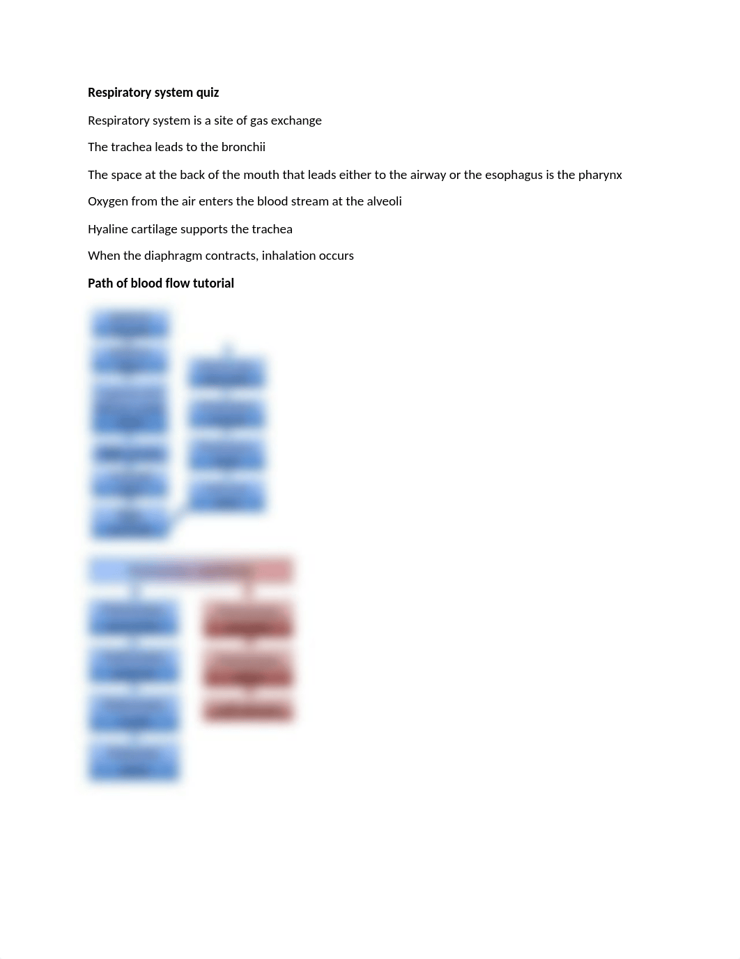 Week 5 Respiratory System and Pleural Disorders.docx_dsifh0fpkh5_page1