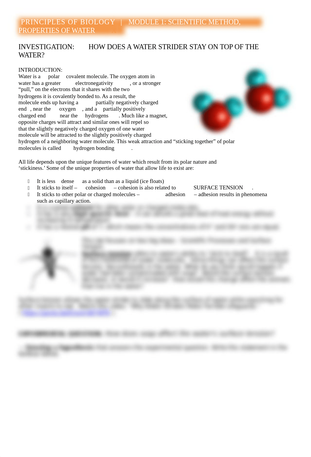 M1 Penny Lab and Surface Tension.docx_dsikitljic7_page1