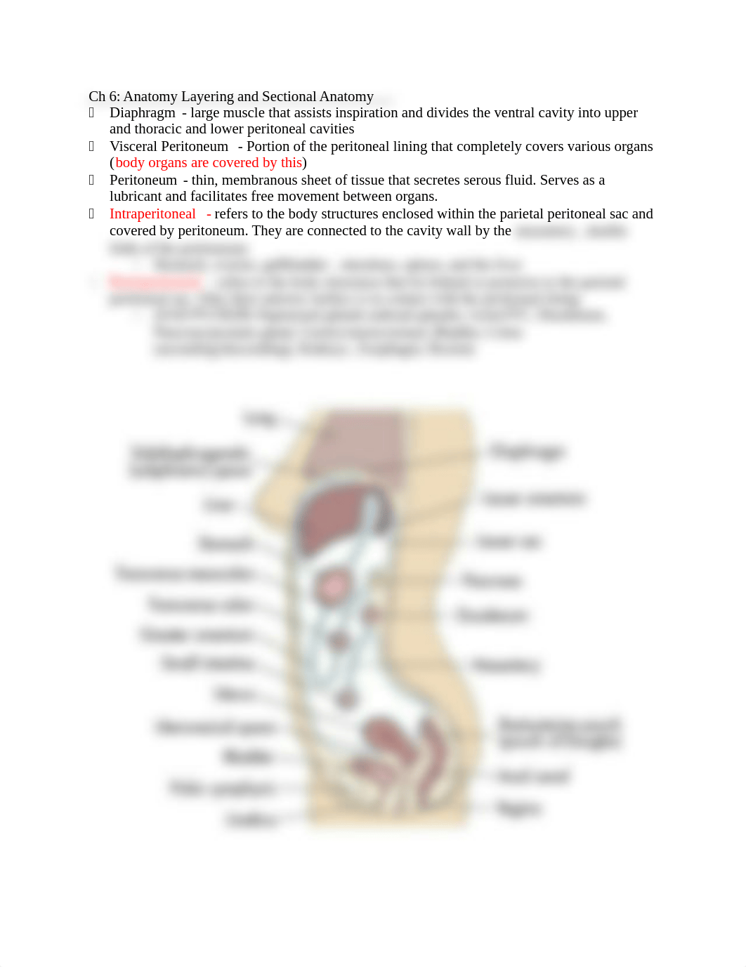 Layering and Sections.docx_dsinpxzvl53_page1