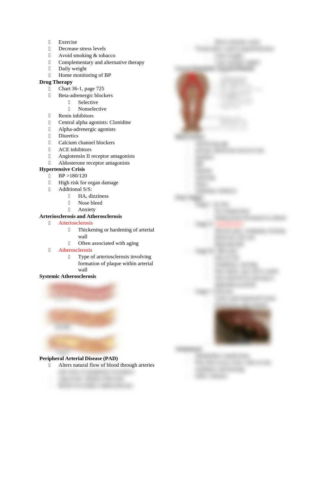 Chapter 36 Study Guide Care of Patients with Vascular Problems.docx_dsir57bg8kz_page2