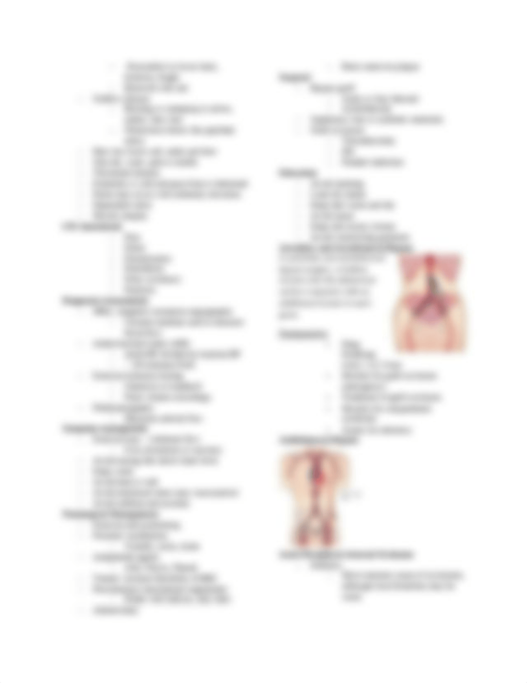 Chapter 36 Study Guide Care of Patients with Vascular Problems.docx_dsir57bg8kz_page3