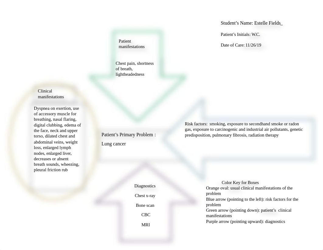 lung cancer concept map.docx_dsitf8n12fg_page1