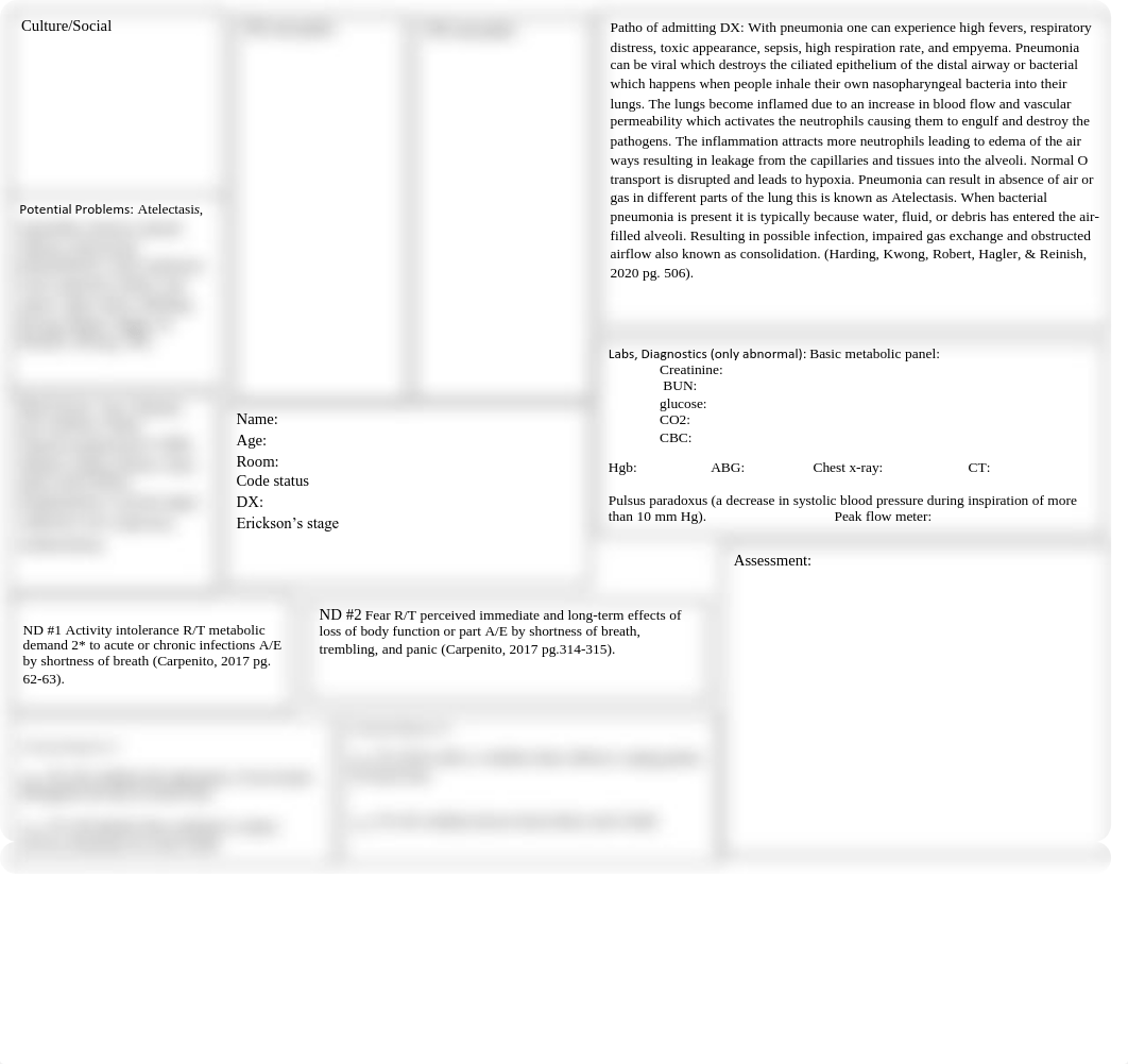 Pneumonia Concept Map.pdf_dsiu4nfjzyd_page1